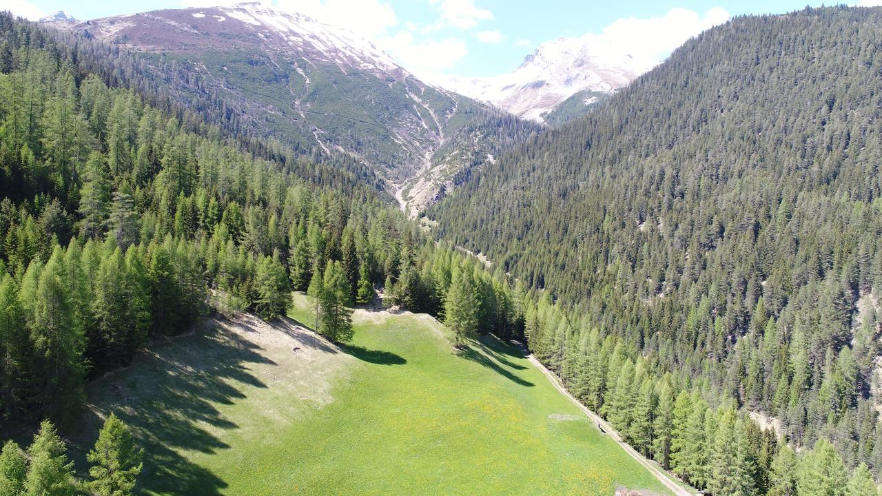 Hotel Sonnenhalde Wiesen Exteriör bild